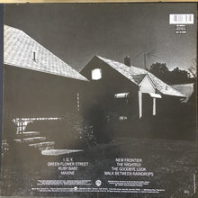 Load image into Gallery viewer, Donald Fagen : The Nightfly (LP, Album, RE)
