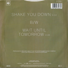Load image into Gallery viewer, Gregory Abbott : Shake You Down (7&quot;, Single)
