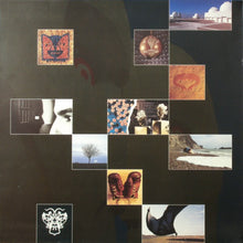 Load image into Gallery viewer, Pink Floyd : The Division Bell (LP, Album, Gat)
