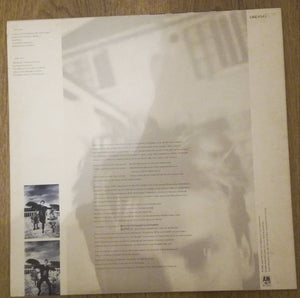 Sting : The Dream Of The Blue Turtles (LP, Album)