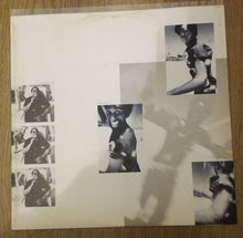 Load image into Gallery viewer, Sting : The Dream Of The Blue Turtles (LP, Album)
