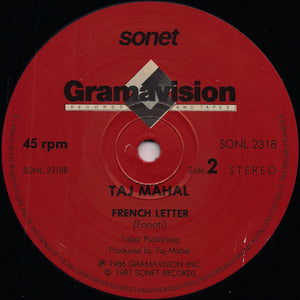 Taj Mahal : Everybody Is Somebody (12", Single)