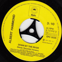 Load image into Gallery viewer, Albert Hammond : Down By The River (7&quot;, Single)
