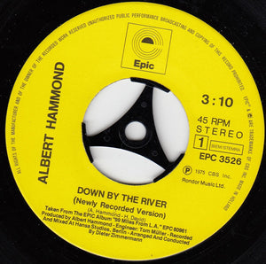 Albert Hammond : Down By The River (7", Single)