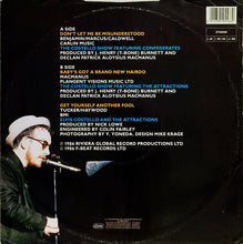 Load image into Gallery viewer, The Costello Show : Don&#39;t Let Me Be Misunderstood (12&quot;)
