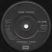Load image into Gallery viewer, Pink Floyd : One Slip (7&quot;, Single)
