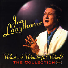 Load image into Gallery viewer, Joe Longthorne : What A Wonderful World (CD, Comp)
