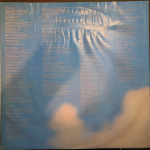 Dire Straits : Brothers In Arms (LP, Album)
