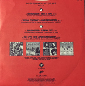 Various : Raw Power Vol. 3 (7", EP, Promo)