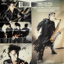 Load image into Gallery viewer, INXS : What You Need (7&quot;, Single)
