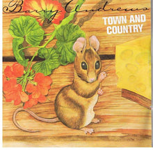 Load image into Gallery viewer, Barry Andrews : Town And Country (7&quot;, EP)
