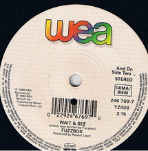 Load image into Gallery viewer, We&#39;ve Got A Fuzzbox And We&#39;re Gonna Use It : Self! (7&quot;, Single, Sma)
