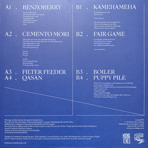 Kooba Tercu : Proto Tekno (LP, Album, Ltd, Cle)