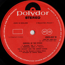 Load image into Gallery viewer, Ted Nugent And The Amboy Dukes : Survival Of The Fittest - Live / Marriage On The Rocks - Rock Bottom (2xLP, Comp)
