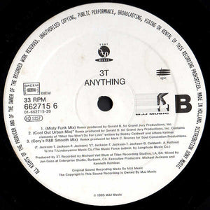 3T : Anything (12")