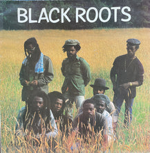 Load image into Gallery viewer, Black Roots : Black Roots (LP, Album)
