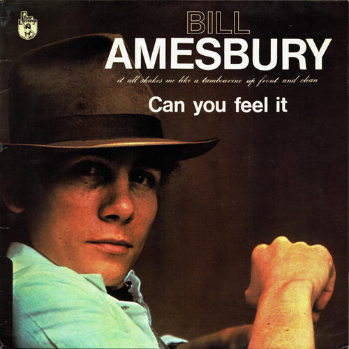 Bill Amesbury : Can You Feel It (LP, Album)