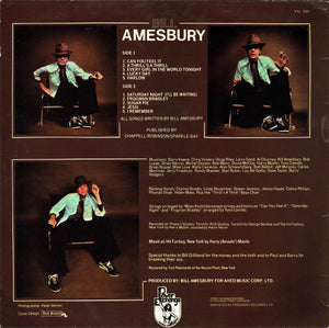 Bill Amesbury : Can You Feel It (LP, Album)