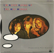 Load image into Gallery viewer, Sweet Dreams : I&#39;m Never Giving Up (7&quot;, Single, Sil)
