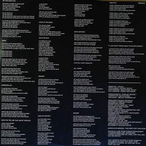 The Photos : The Photos (2xLP, Ltd)