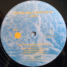 Load image into Gallery viewer, The Trash Can Sinatras : Cake (LP, Album)
