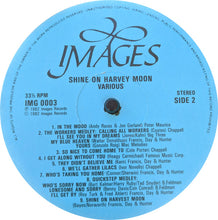 Load image into Gallery viewer, Various : Shine On Harvey Moon (LP, 33R)
