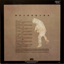 Load image into Gallery viewer, Spyro Gyra : Incognito (LP, Album, RE)
