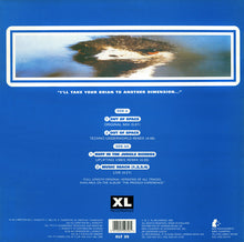 Load image into Gallery viewer, The Prodigy : Out Of Space (12&quot;, Single, RE)
