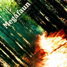 Load image into Gallery viewer, Megafaun : Gather, Form &amp; Fly (CD, Album, Promo, Car)
