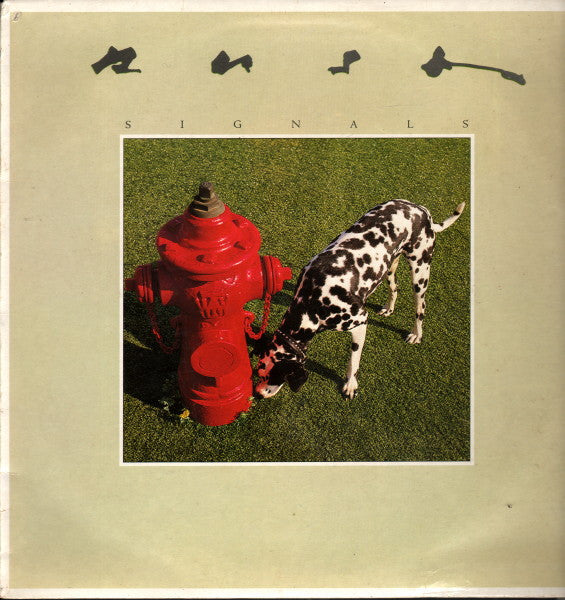 Rush : Signals (LP, Album)