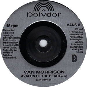 Van Morrison : Enlightenment (7", Single)