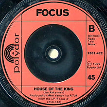 Load image into Gallery viewer, Focus (2) : Sylvia (7&quot;, Single, Inj)
