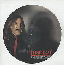 Load image into Gallery viewer, Meat Loaf : If You Really Want To (Alternative Version) (12&quot;, Single, Pic)
