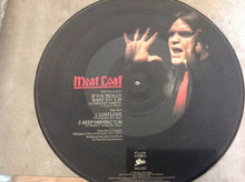 Load image into Gallery viewer, Meat Loaf : If You Really Want To (Alternative Version) (12&quot;, Single, Pic)
