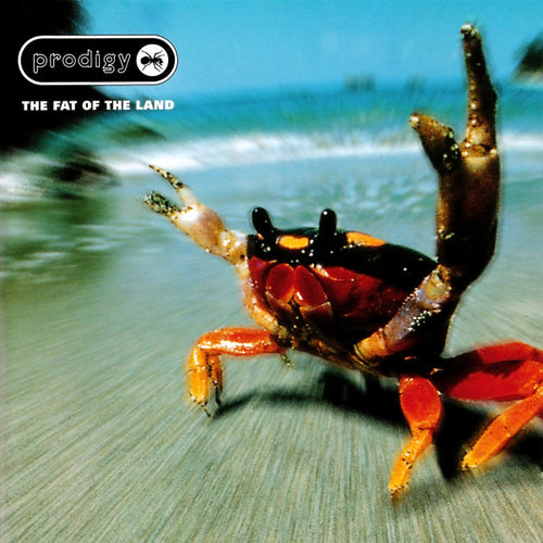 Prodigy* : The Fat Of The Land (2xLP, Album)