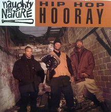 Load image into Gallery viewer, Naughty By Nature : Hip Hop Hooray (7&quot;)

