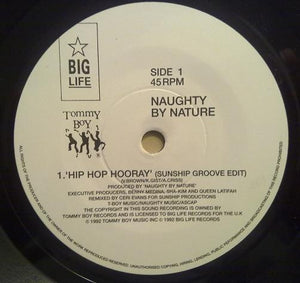 Naughty By Nature : Hip Hop Hooray (7")