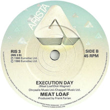 Load image into Gallery viewer, Meat Loaf : Blind Before I Stop (7&quot;, Single)
