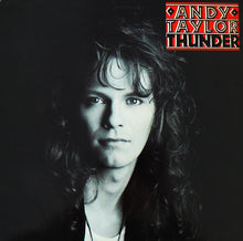 Load image into Gallery viewer, Andy Taylor : Thunder (LP, Album)
