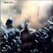 Load image into Gallery viewer, Steely Dan : Katy Lied (LP, Album)
