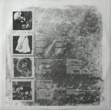 Load image into Gallery viewer, Pixies : Doolittle (LP, Album)
