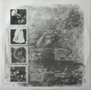 Pixies : Doolittle (LP, Album)
