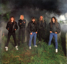 Load image into Gallery viewer, Iron Maiden : No Prayer For The Dying (LP, Album)
