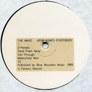 The Wake : Here Comes Everybody (LP, Album)