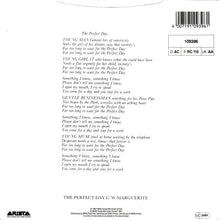 Load image into Gallery viewer, Fischer-Z : Perfect Day (7&quot;, Single)
