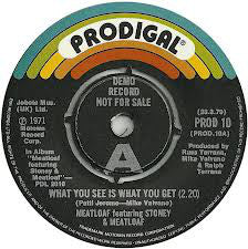 Stoney & Meatloaf : What You See Is What You Get / The Way You Do The Things You Do (7