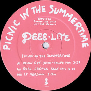 Deee-Lite : Picnic In The Summertime (12", Promo)