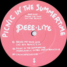 Load image into Gallery viewer, Deee-Lite : Picnic In The Summertime (12&quot;, Promo)
