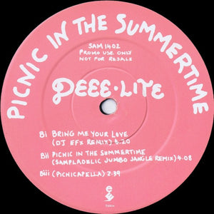 Deee-Lite : Picnic In The Summertime (12", Promo)