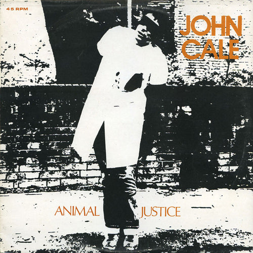 John Cale : Animal Justice (12